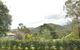 Healesville Maroondah View Motel - thumb 0