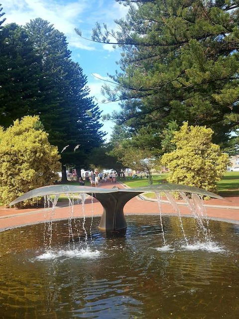 Hi 5 Luxury Holiday Apartments - Australian Directory 3