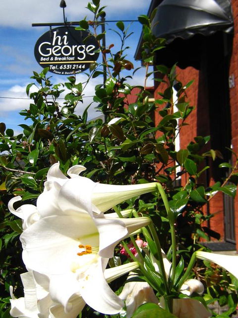 Hi George B&B - Australian Directory 1