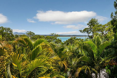 Hidden Rainforest Oasis, Little Cove - Australian Directory 2