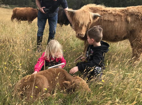 Highland Getaway - Australian Directory 3