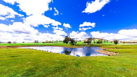 Hillview Farmstay - Australian Directory 0