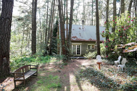 Holly Lodge Medlow Bath - Australian Directory 3