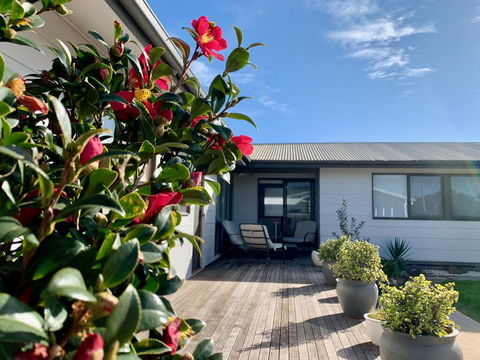 Homely Getaways In Surf Beach - Pet Friendly - Australian Directory 0