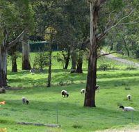 JAN'S ART STUDIO AT ASHBY RISE - Australian Directory