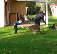 Kalgan River Chalets and Caravan Park - Australian Directory