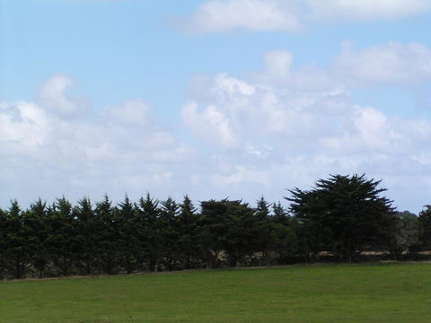 Karingal Homestead B&B - Australian Directory 0