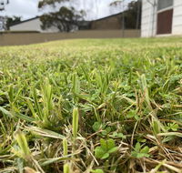 Karoonda Accommodation - Australian Directory