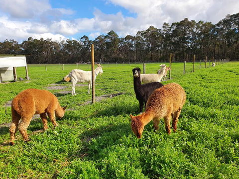Kerriley Park FarmStay - Australian Directory 3