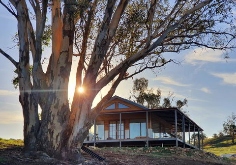 Kestrel Nest EcoHut - Australian Directory 0
