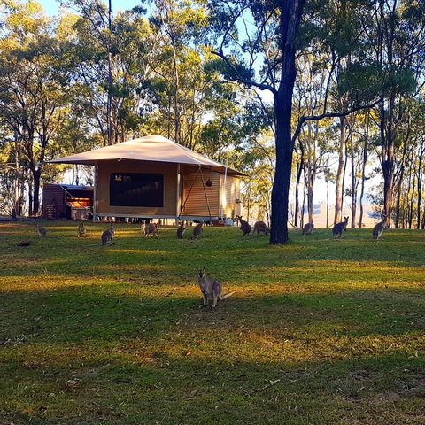 Ketchup's Bank Glamping - Australian Directory 3