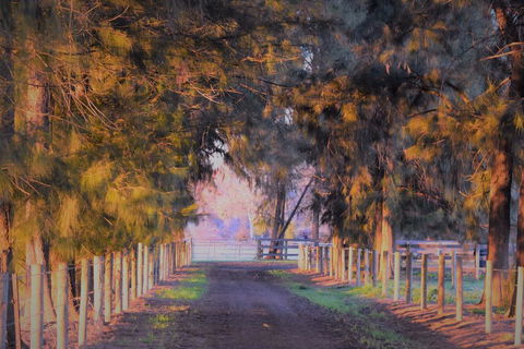 King River Cottage - Australian Directory 3