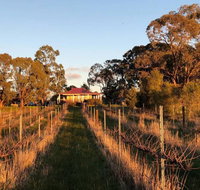 Lillicur Vineyard BB - Australian Directory