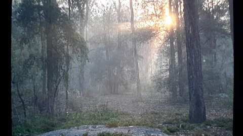 Lucky Mountain Cottage - Australian Directory 1