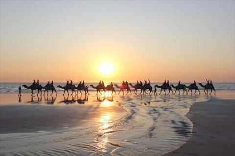 Luxury Executive Apartment At Broome Cable Beach - Australian Directory 1