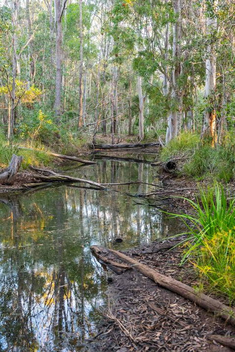 Mango Lodge At River Heads - Australian Directory 3