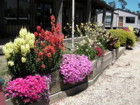 Mansfield Holiday Park - Australian Directory 3