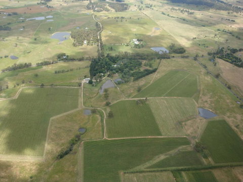 Mayfield Vineyard - Australian Directory 0