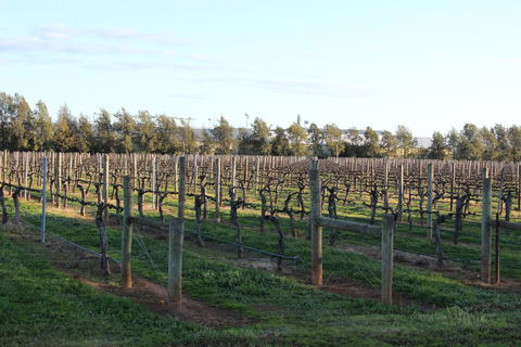 Milawa Vineyard Views - Guesthouse 2 - Australian Directory 0