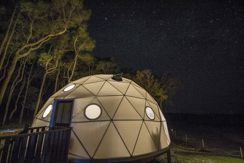 Mile End Glamping Pty Ltd - Australian Directory 3
