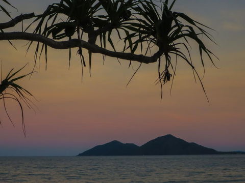 Mission Beach Hideaway Holiday Village - Australian Directory 1