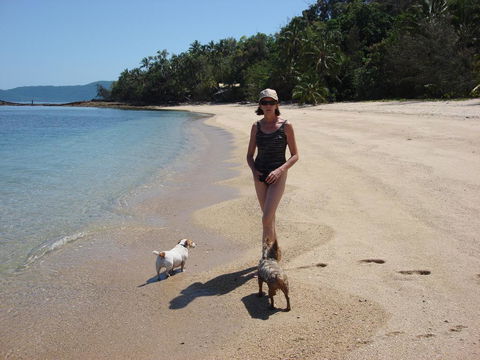 Mission Beach Shores - Australian Directory 3
