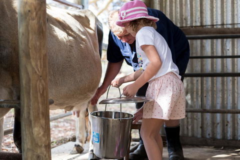 Misty Valley Country Cottages - Australian Directory 1