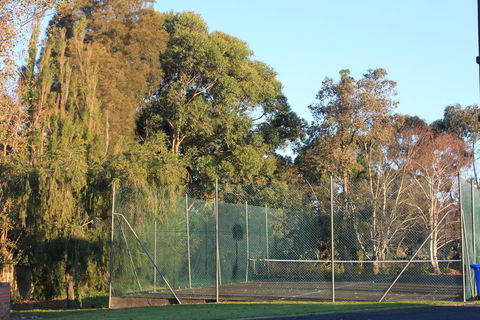 Mt Gambier International - Australian Directory 2