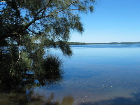 Myall River Magic - Australian Directory 1