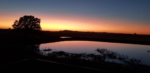 New Horizons Farm Stay - Australian Directory 1