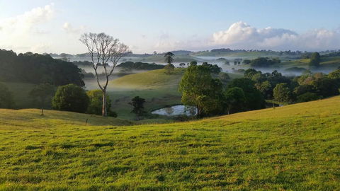 Newyan @ Maleny - Australian Directory 3