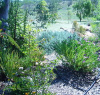 Old Miners' Cottages Bed and Breakfast - Australian Directory