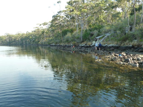 Oyster Shack - Australian Directory 2