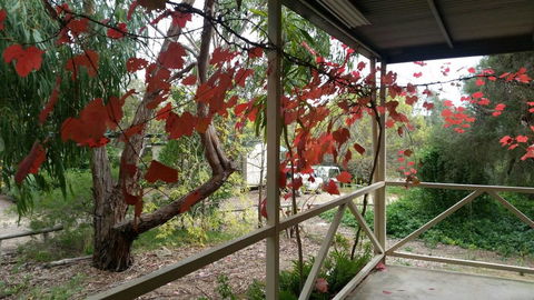 Padthaway Caravan Park - Australian Directory 1