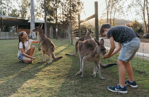 Paradise Country Farmstay - Australian Directory 1