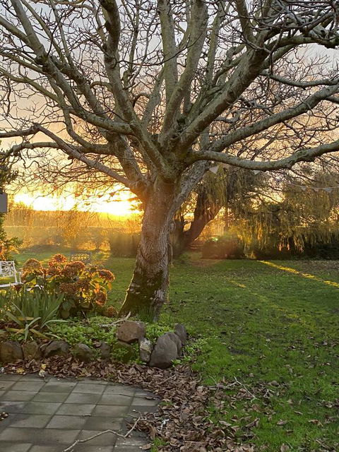 Peg Cottage - Australian Directory 0