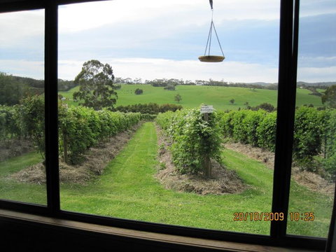 Pennyroyal Raspberry Farm & Cidery - Australian Directory 0