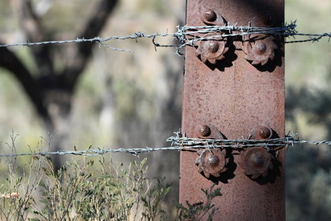 Pichi Richi Park - Australian Directory 2