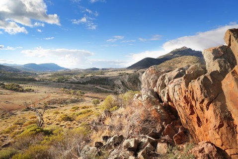 Pichi Richi Park - Australian Directory 0