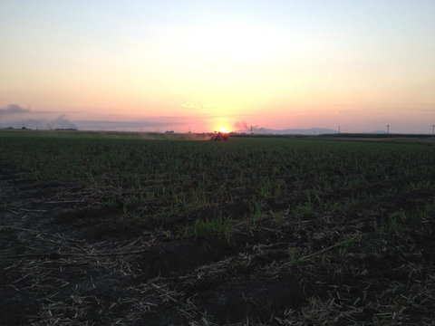 Plantation Park Motor Inn - Australian Directory 3