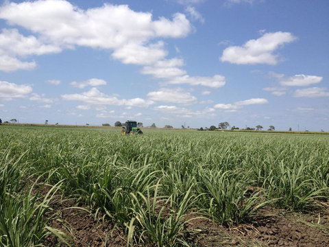 Plantation Park Motor Inn - Australian Directory 2