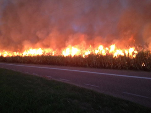 Plantation Park Motor Inn - Australian Directory 1