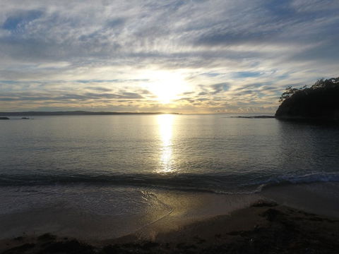 Pleasurelea Tourist Resort & Caravan Park - Australian Directory 3