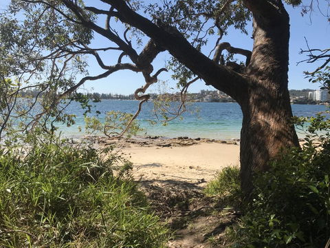 Queenscliff Beach Apartment - Australian Directory 1