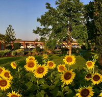 Quirindi Sunflower Motor Inn - Australian Directory