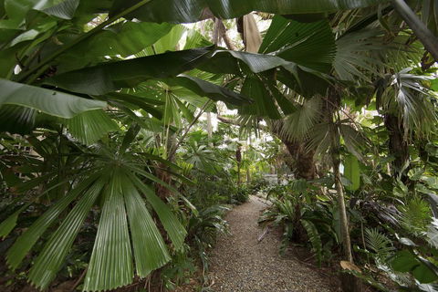 Rainforest Castaways Resort And Spa - Australian Directory 1