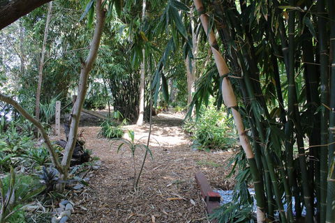 Rainforest, Water Front, River Shack, Secluded. - Australian Directory 0
