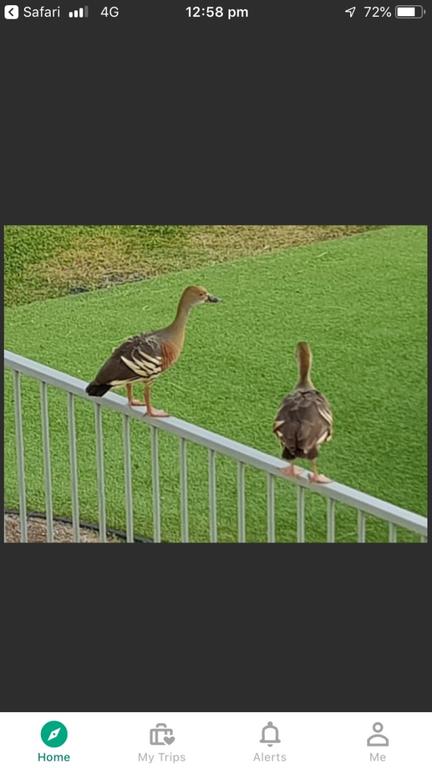 Resort Living - Australian Directory 3