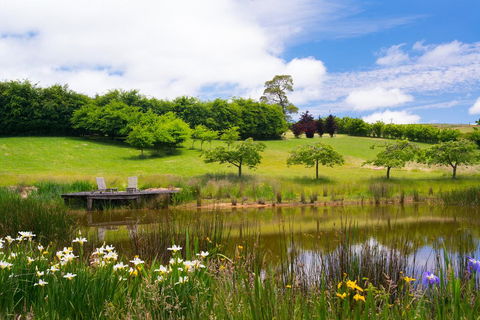 Reverie 101 - Australian Directory 2