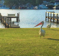 Riverfront Getaway - Mannum - Australian Directory
